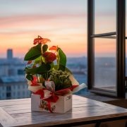 cumpleaños categoria