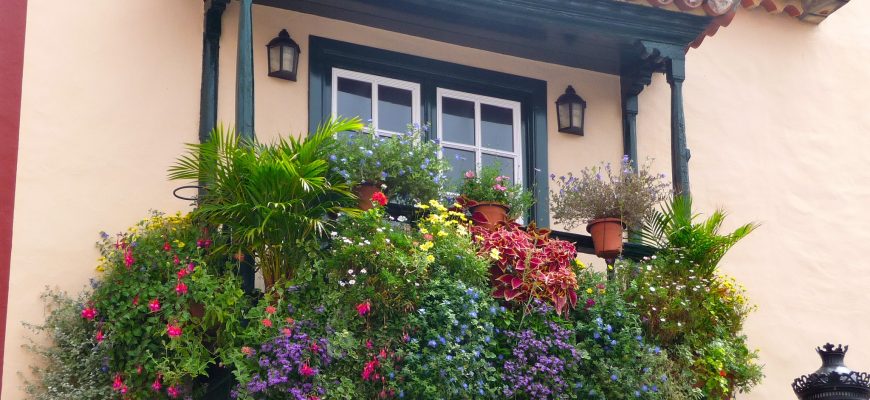 balcones-y-ventanas-flores-11