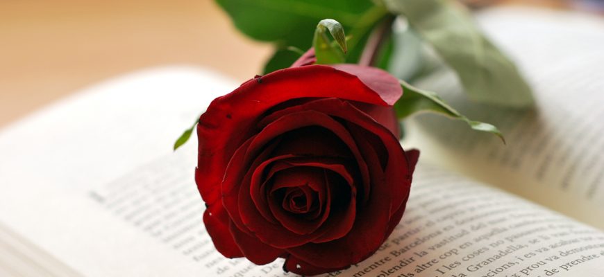 rosa-i-llibre-sant-jordi-copia-870x400