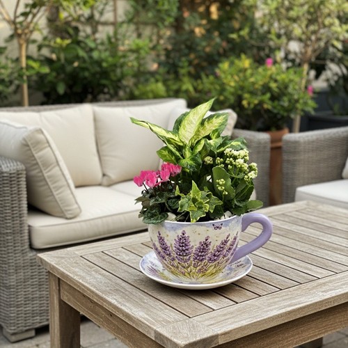 taza-grande-2