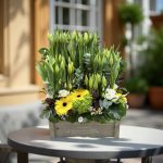 vegetativo-tulipanes