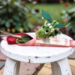 cono-plastico-dragon