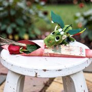 cono-plastico-dragon