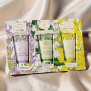 set-crema-3